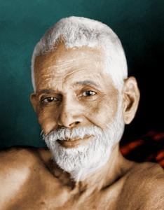 Where to find P.V.S. Suryanarayana Raju online